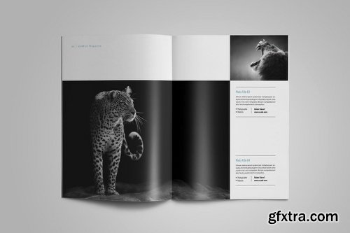 Simple Magazine Template