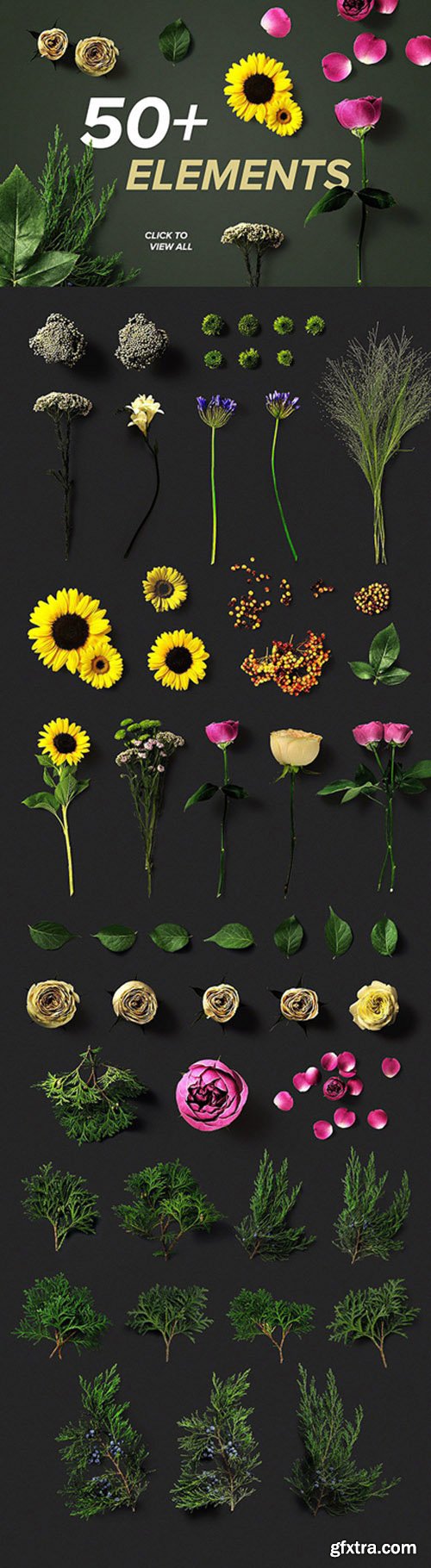 CreativeMarket Flower Boom Graphic Pack 1130369