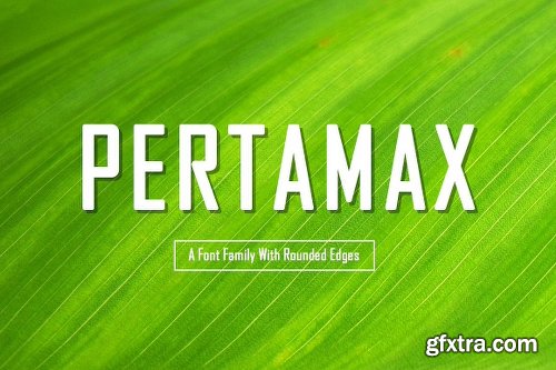 CreativeMarket Pertamax Font 1130804