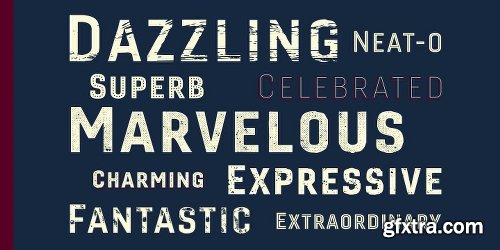 Gineso Titling Font Family - 43 Fonts