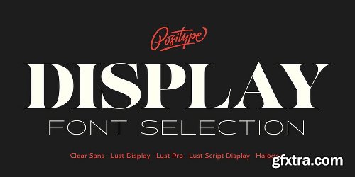 Positype Display Font Collection Font Bundle - 16 Fonts