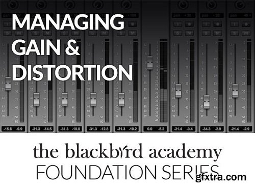 The Blackbird Academy Managing Gain and Distortion TUTORiAL-SYNTHiC4TE