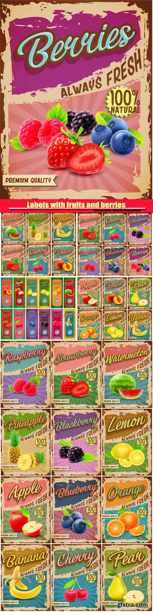 Vector vintage labels with fruits and berries