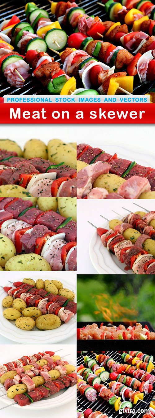 Meat on a skewer - 9 UHQ JPEG