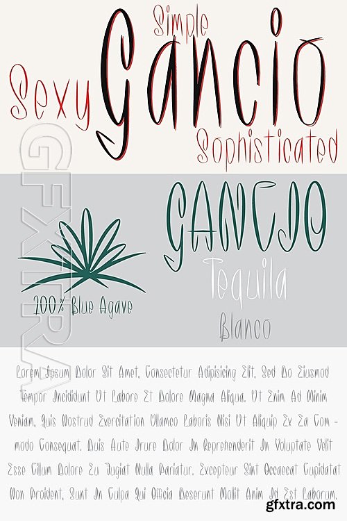 Gancio - 1 font: $39.00