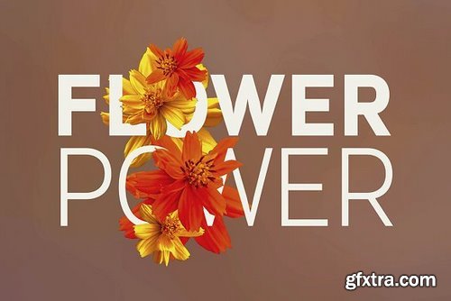 CM - Flower Power - Photos & Graphics 696406