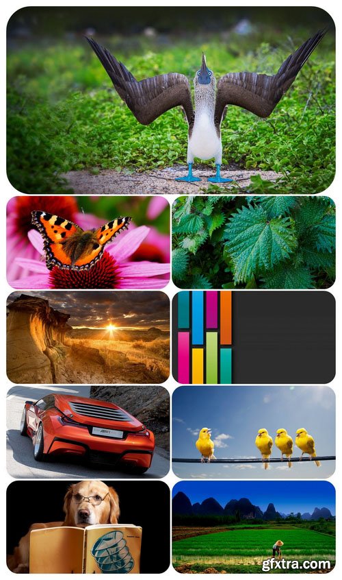 Beautiful Mixed Wallpapers Pack 411