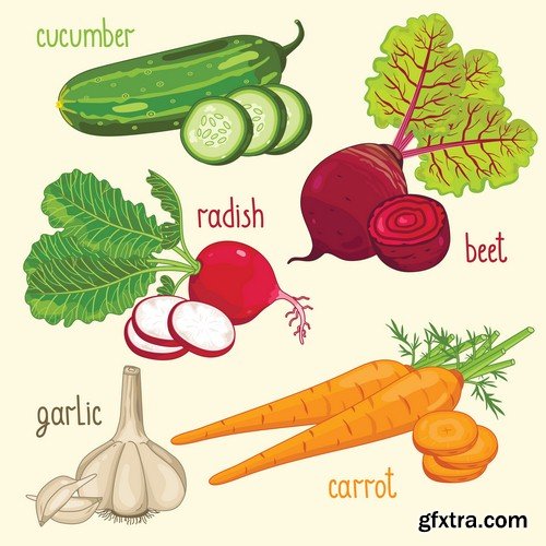 Set of vegetables 1 - 6 EPS