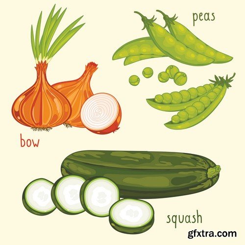 Set of vegetables 1 - 6 EPS