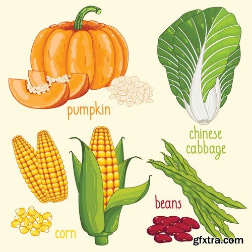 Set of vegetables 1 - 6 EPS