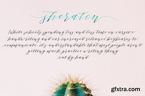 CreativeMarket Sheraton Script 1139607