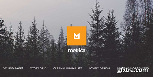 ThemeForest - Metrica - Multi-Concept PSD Theme 15951595