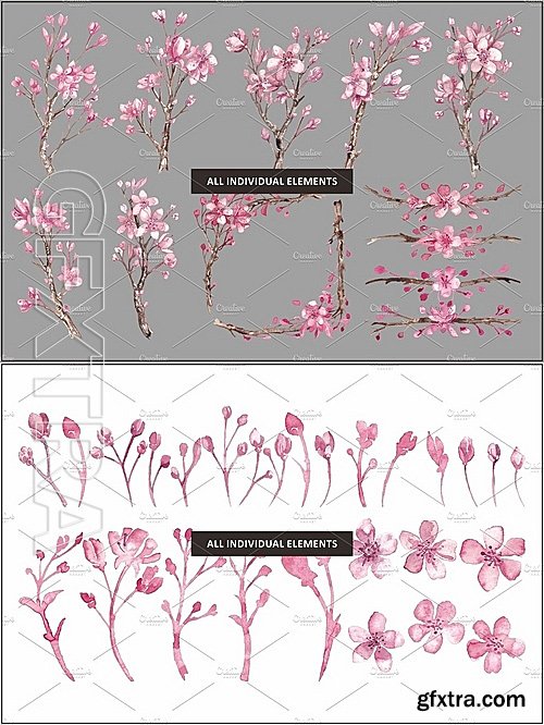 CM - Cherry Blossom Watercolour clipart 1143306