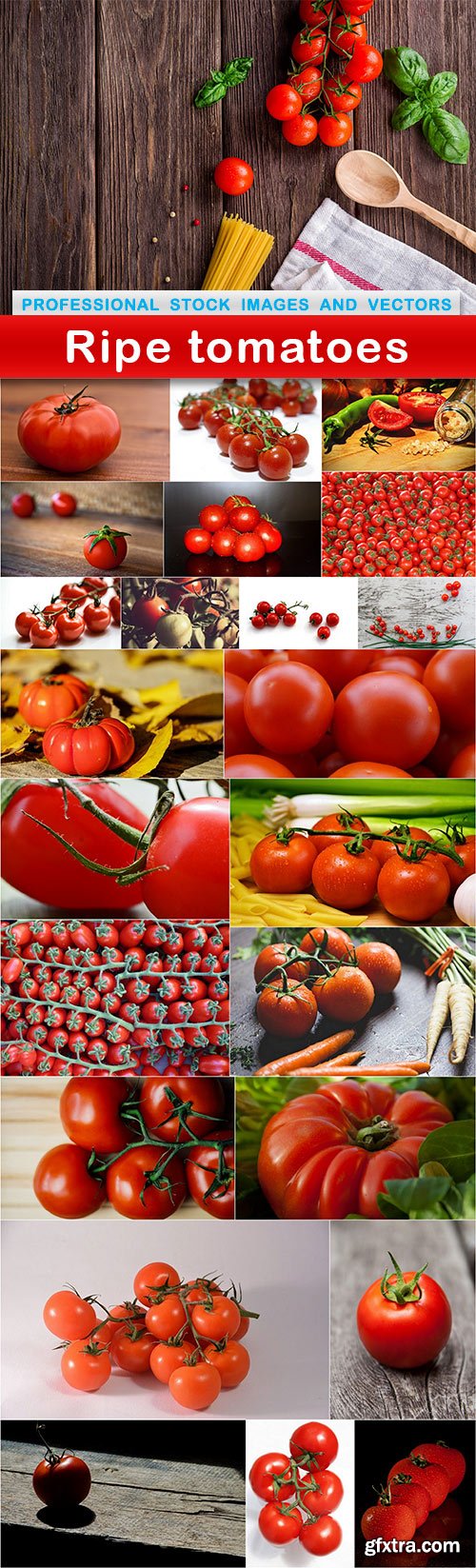 Ripe tomatoes - 24 UHQ JPEG