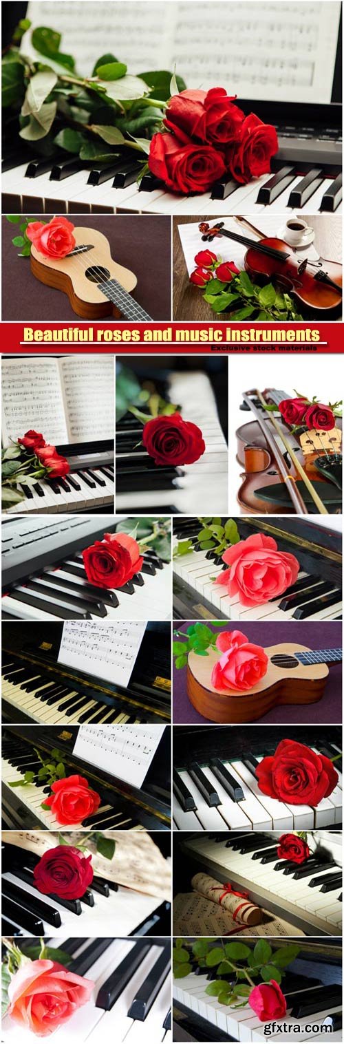 Beautiful roses and music instruments