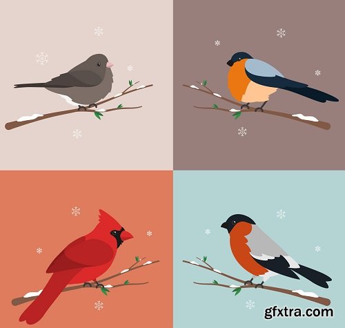 Winter Birds