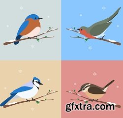 Winter Birds