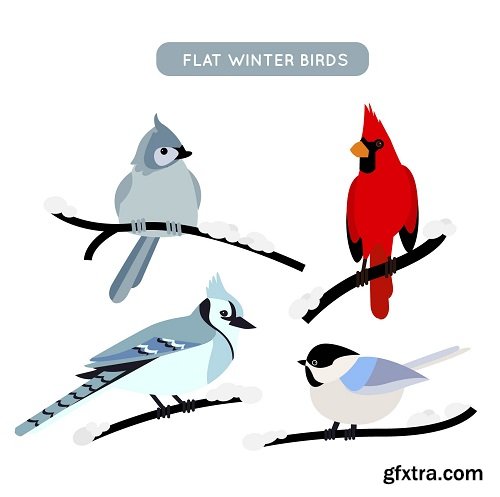 Winter Birds