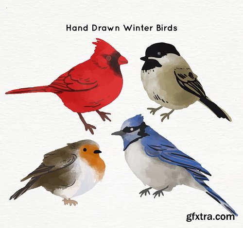 Winter Birds