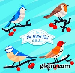 Winter Birds