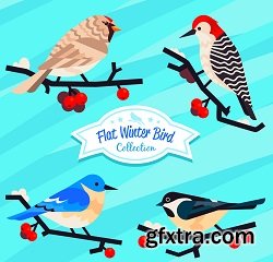 Winter Birds