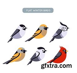 Winter Birds