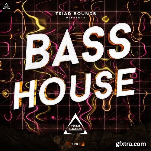 Triad Sounds Bass House WAV MiDi-DISCOVER