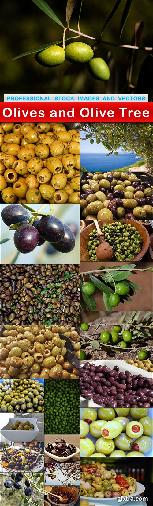 Olives and Olive Tree - 21 UHQ JPEG