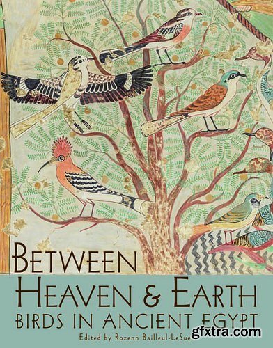 Between Heaven and Earth: Birds in Ancient Egypt