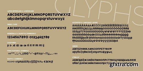 Cocogoose Pro Font Family - 17 Fonts