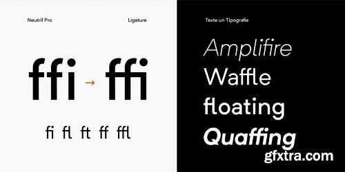 Neutrif Pro Font Family - 10 Fonts