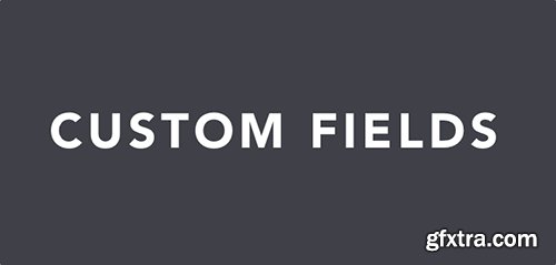 Conductor - Custom Fields Add-On v1.0.3