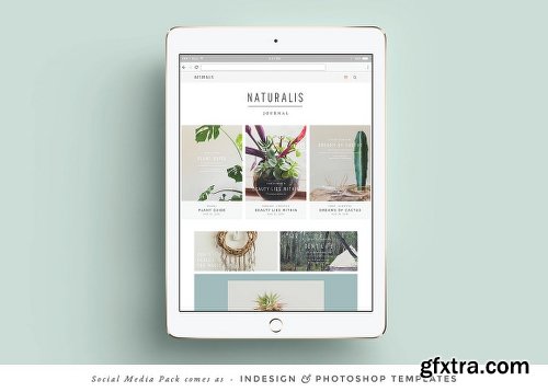 CreativeMarket NATURALIS Social Media Pack 1149332