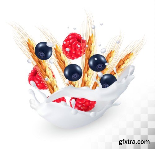 Vector fruits and berries in the splash of milk, raspberry and blueberry, blackberry