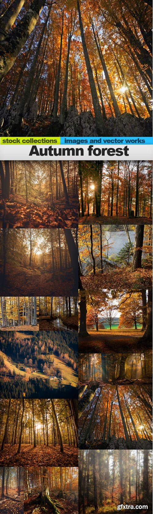 Autumn forest, 15 x UHQ JPEG