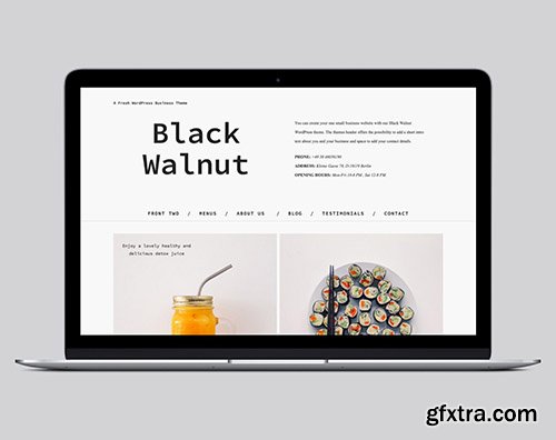 ElmaStudio - Black Walnut v1.0.2 - WordPress Theme