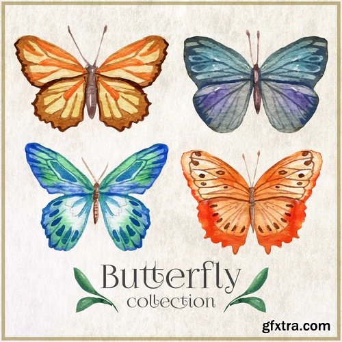 Collection of hand drawn butterfly colorful insect wing 25 EPS