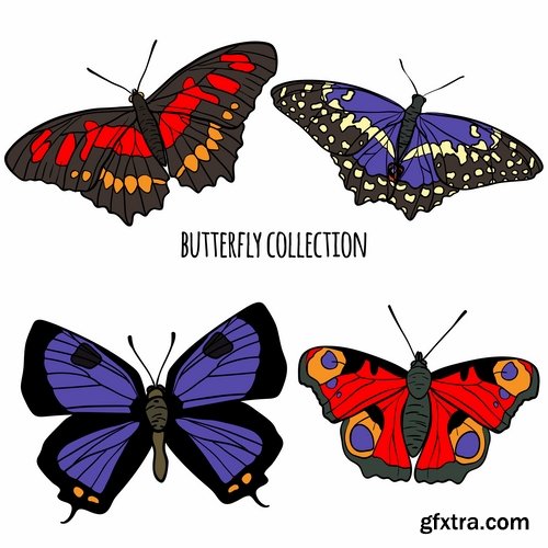 Collection of hand drawn butterfly colorful insect wing 25 EPS