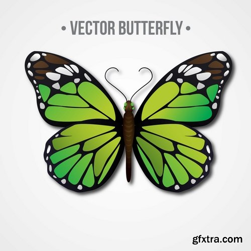 Collection of hand drawn butterfly colorful insect wing 25 EPS