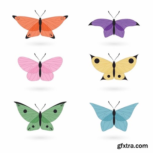 Collection of hand drawn butterfly colorful insect wing 25 EPS