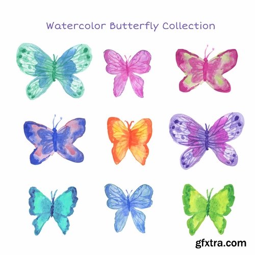 Collection of hand drawn butterfly colorful insect wing 25 EPS