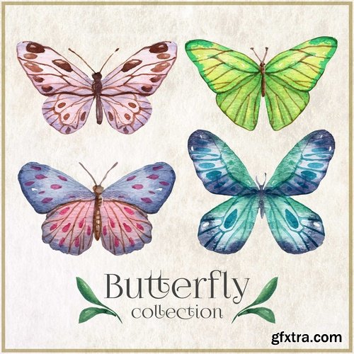 Collection of hand drawn butterfly colorful insect wing 25 EPS