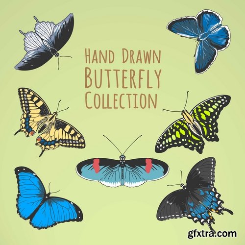 Collection of hand drawn butterfly colorful insect wing 25 EPS