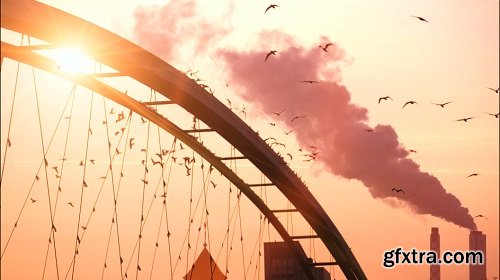 beautiful romantic background birds swarm slow motion sunset bridge red sky