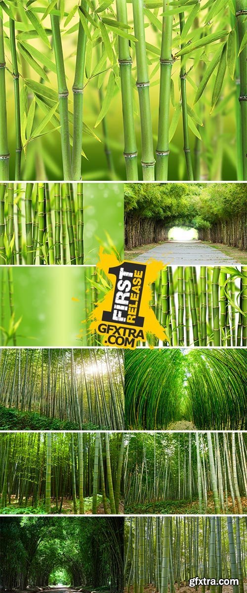 Stock Image bamboo