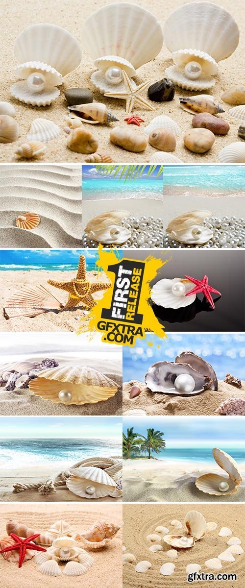 Stock Image pearl on the seashell