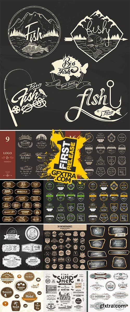 Stock Labels badges and emblems vector