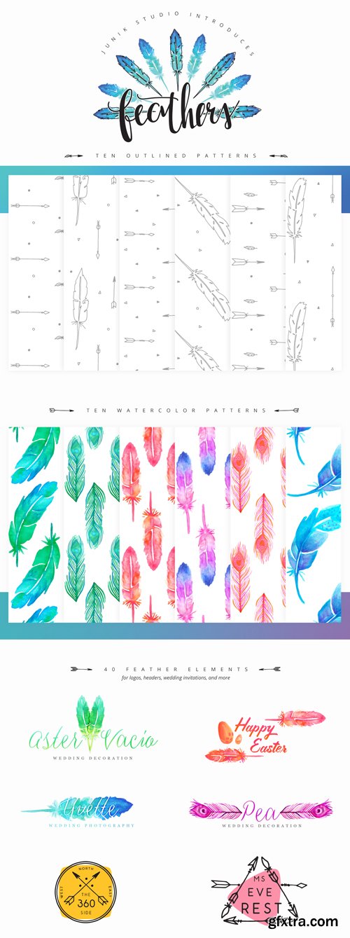 60 Watercolor Feathers - Transparent Png Elements & Patterns