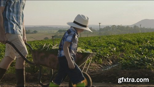 Farming father helping son push wheelbarrow up hill on their farm at sunset