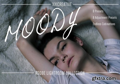 CreativeMarket Moody Lightroom Collection 1144766